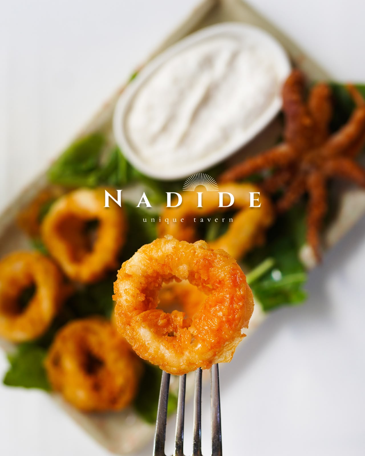Nadide Meyhane fotoğraf 5
